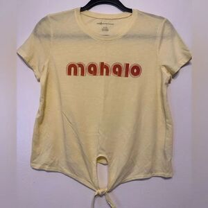 American Eagle cropped tee size S/P